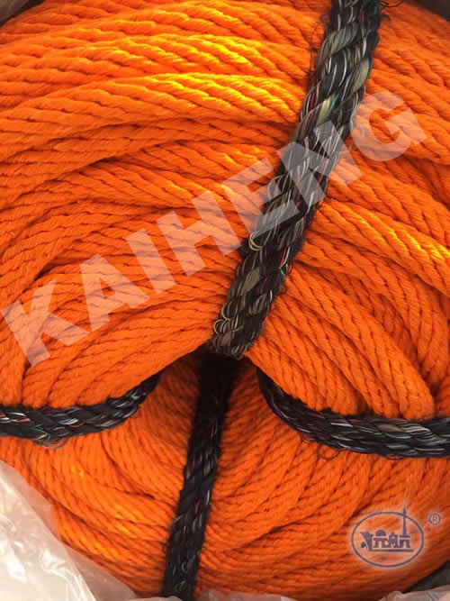 Insulated wire rope